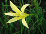 北京中科<a class=channel_keylink href=/Special/beijingbaidianzhiliao target=_blank>白癜风医院</a>